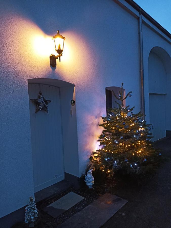 Petites-Tailles - Chambre D'Hotes Vielsalm Eksteriør billede